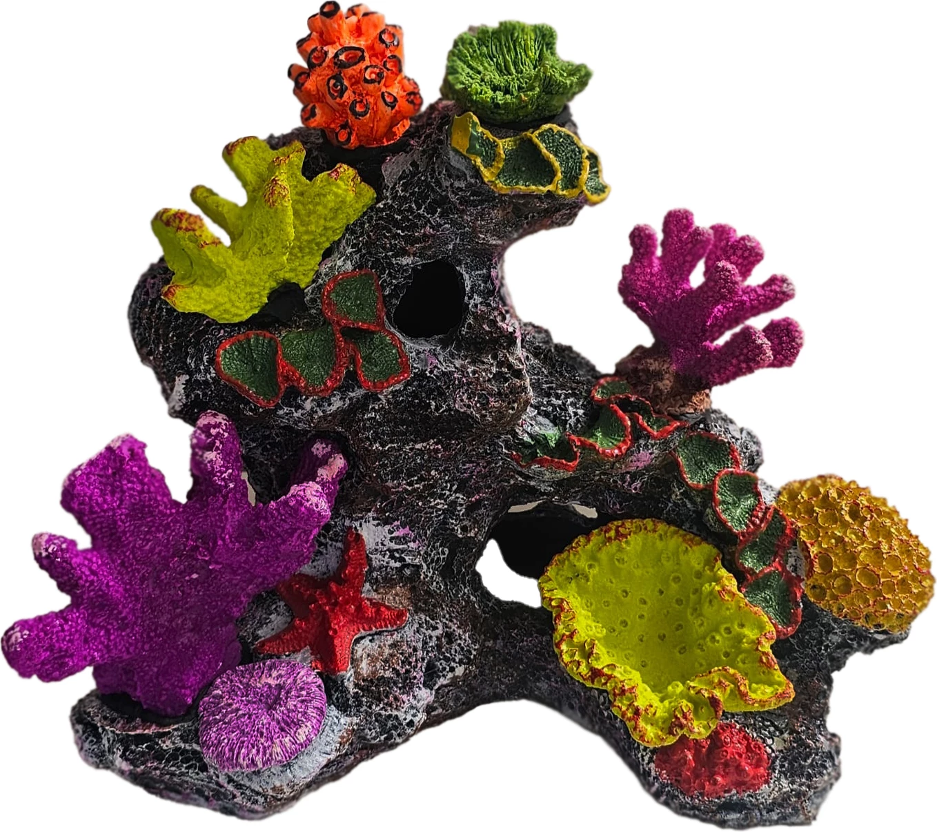 Dekor akuariumi – Shkëmb me korale