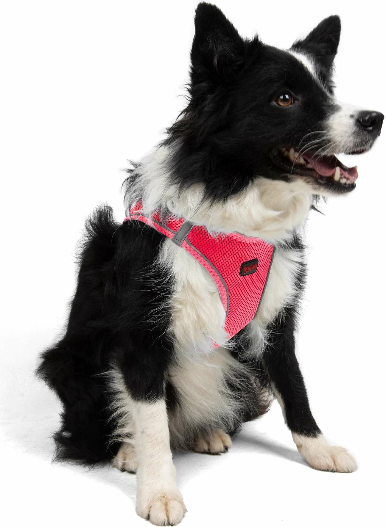Parzmore për qen, ngjyrë Neo Pink, Air-Mesh