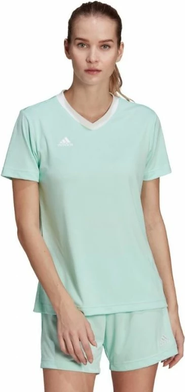 Maicë për femra adidas Entrada 22, e gjelbër