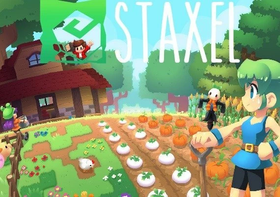 Staxel Global