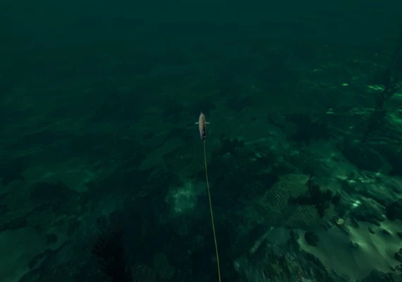 Ultimate Fishing Simulator - Florida DLC Global
