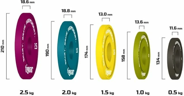 Diskë fraksionale Tiguar 2kg