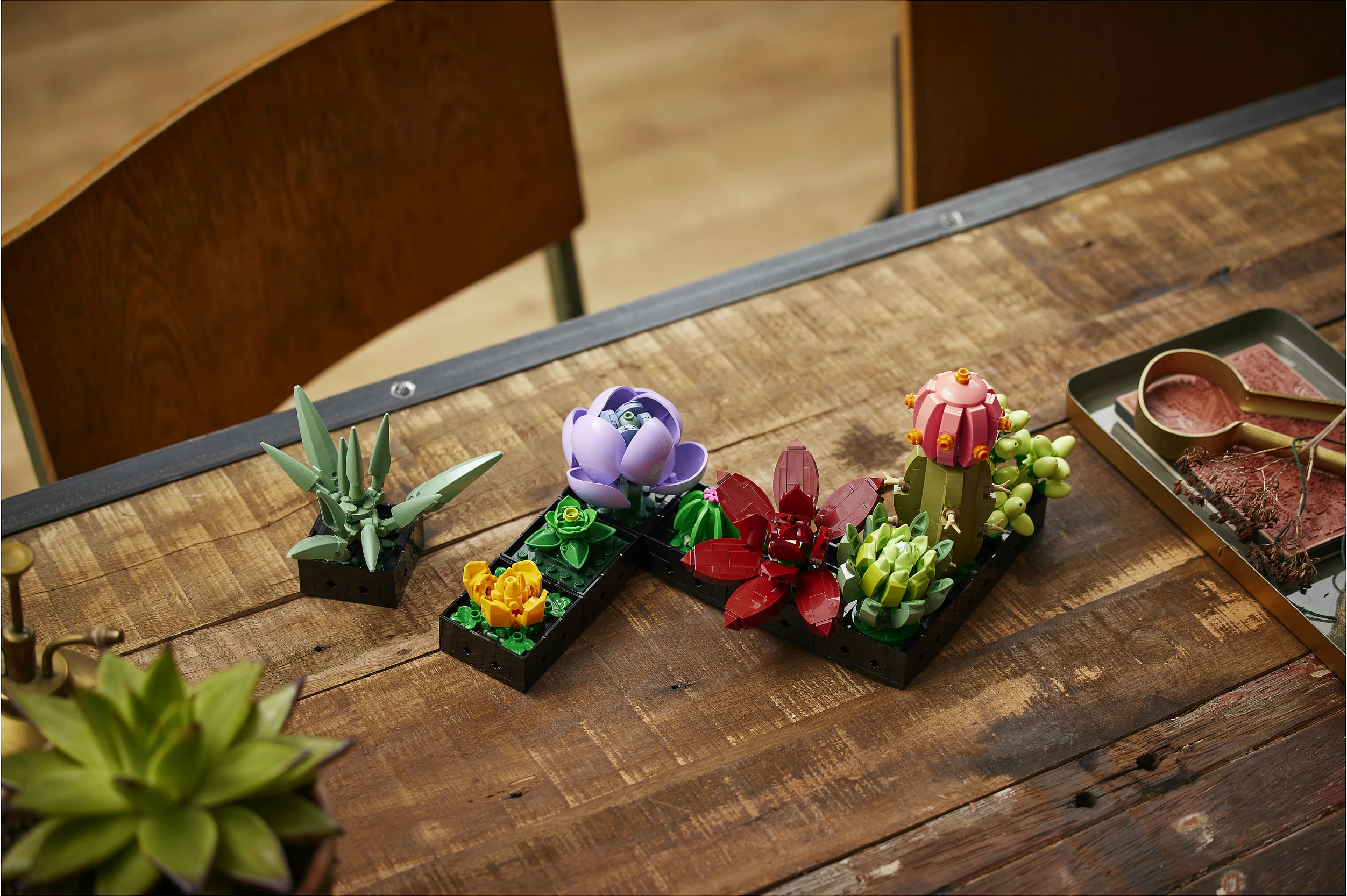 Set ndërtimi LEGO Botanicals Succulents 10309, 771 copë, 18+, multikolor
