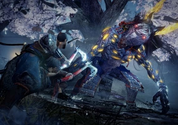 Nioh 2 Complete Edition Global