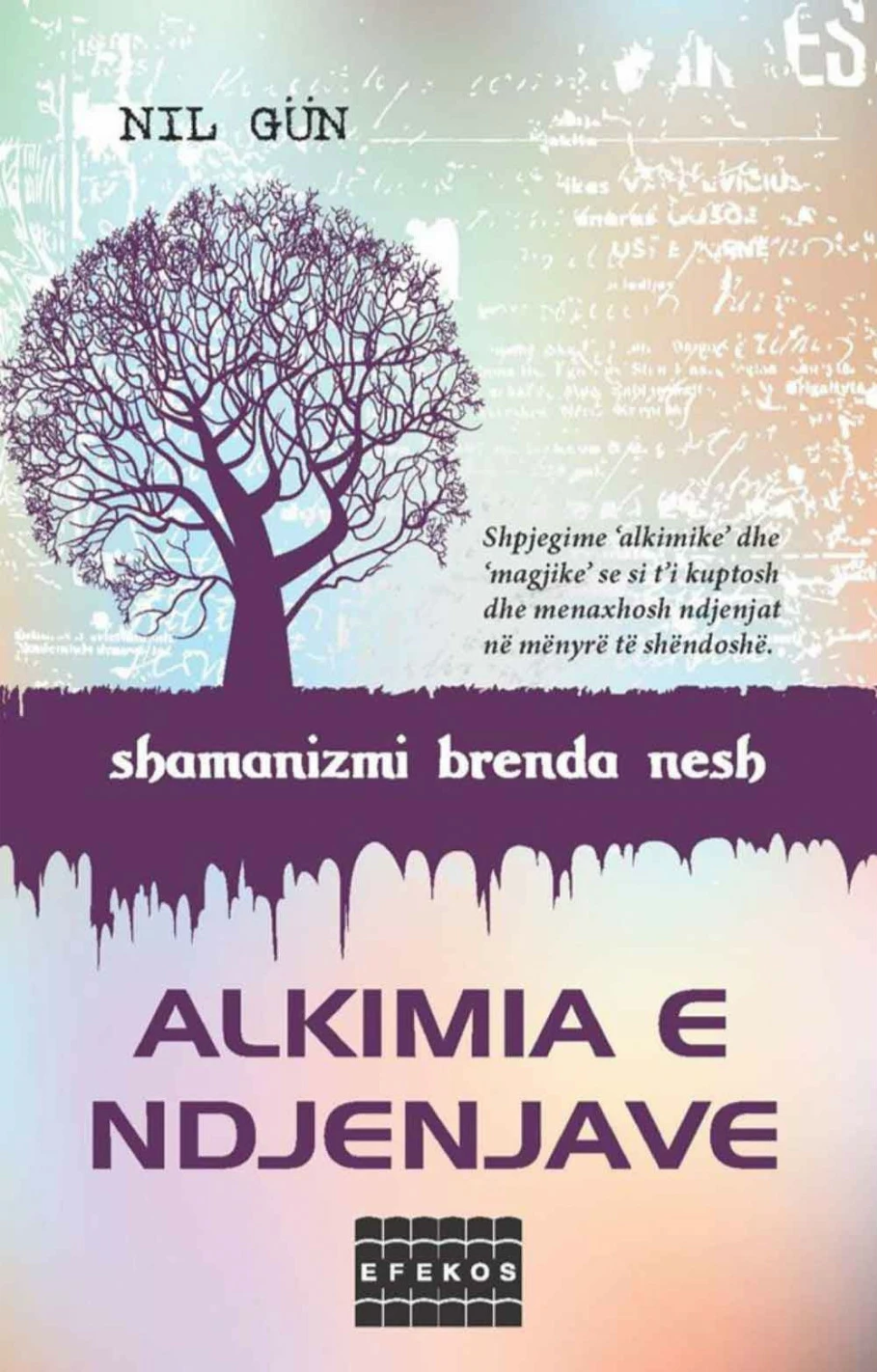 Alkimia E Ndjenjave - Nil Gun