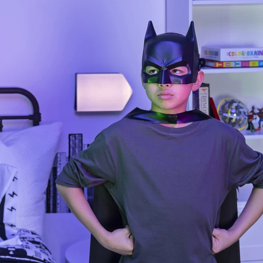 BATMAN MASK AST S24