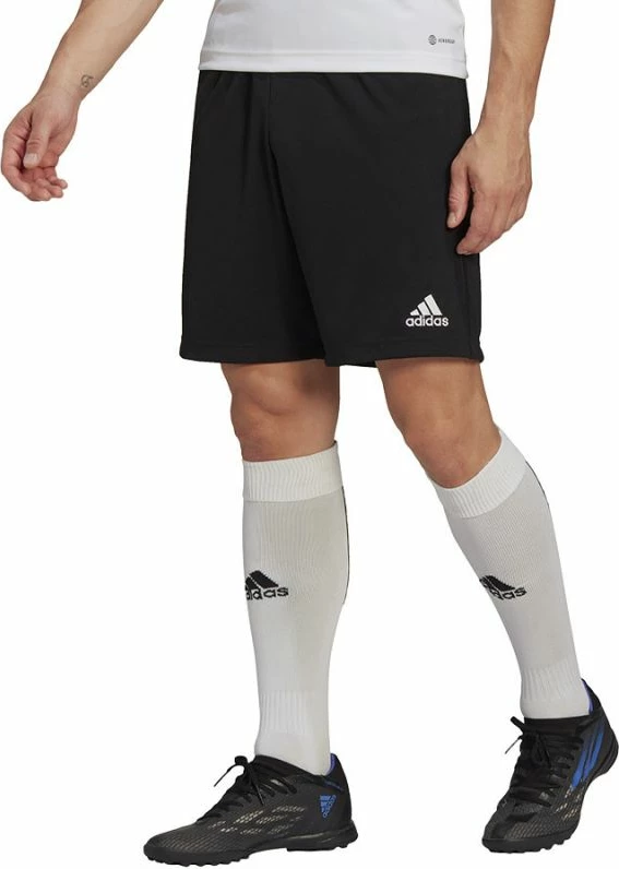 Shorce për stërvitje adidas për meshkuj [Madhësia: XS]