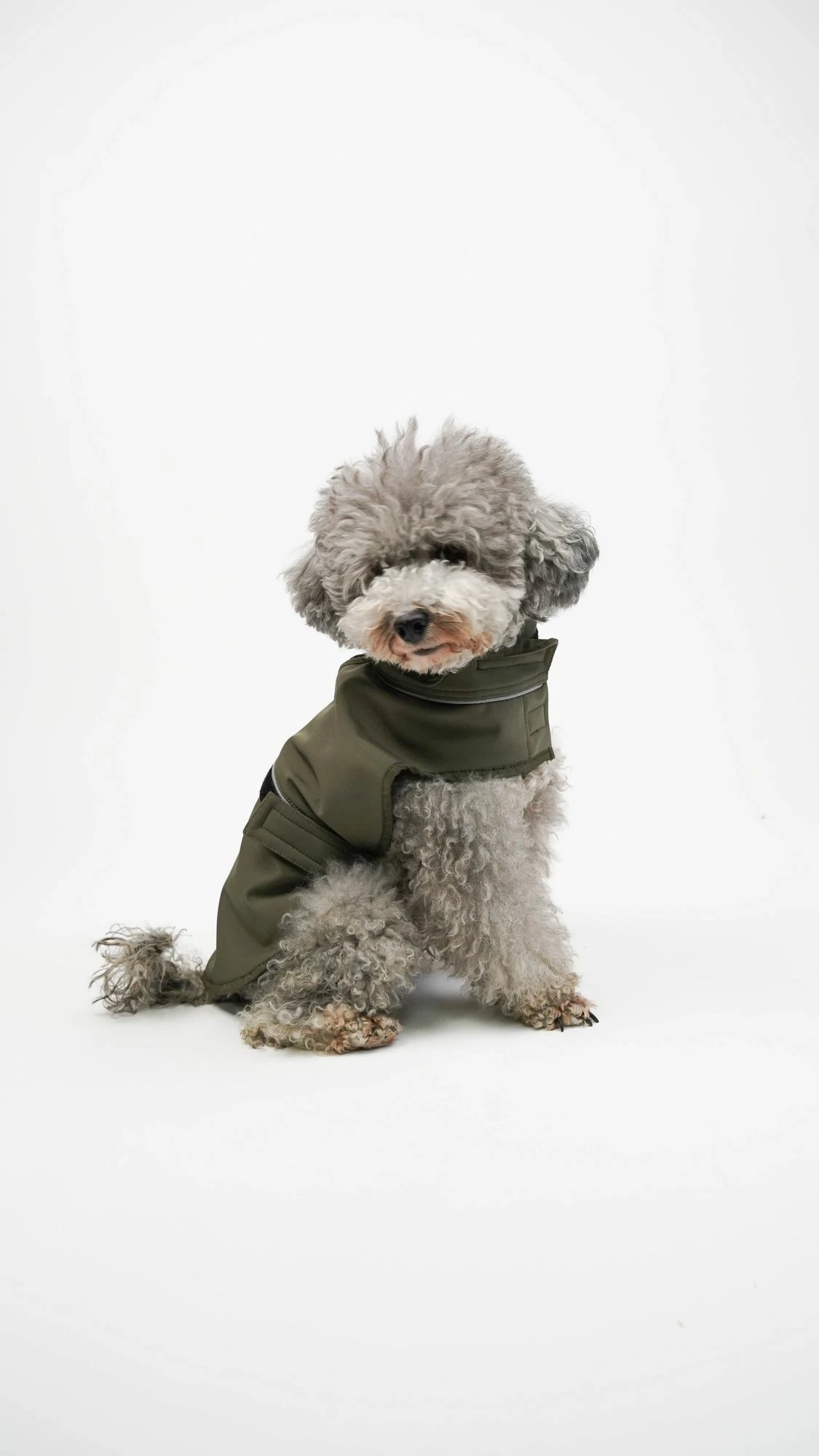 Bluze për qen, soft shell, ngjyrë kaki, Paws & Whiskers, XL