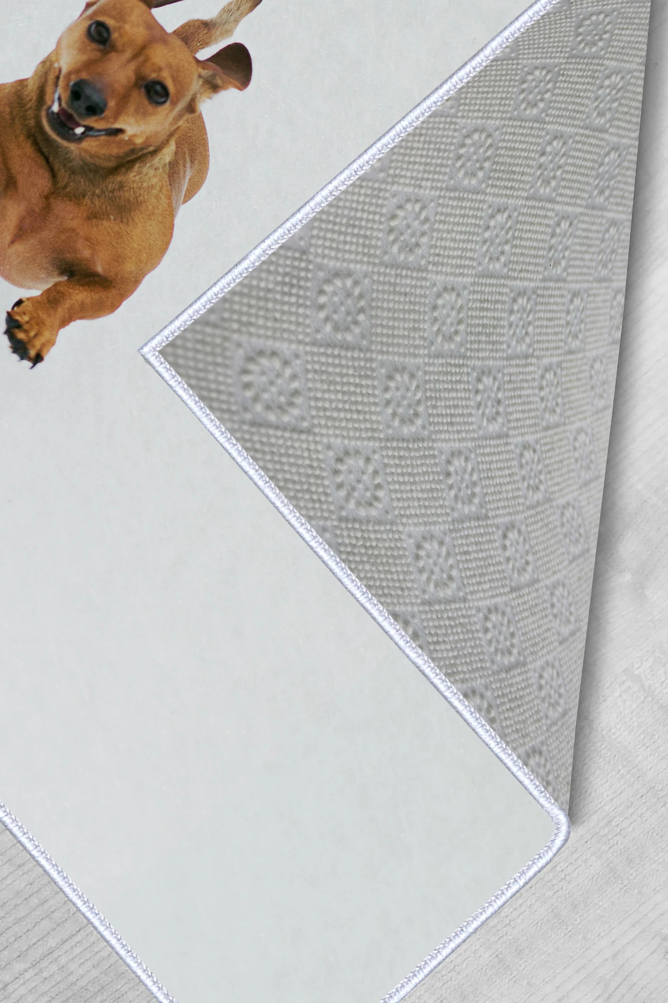Qilim (140 x 220) Conceptum Hypnose, WOOKECE086