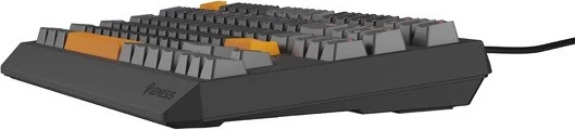 Tastierë mekanike Genesis Thor 230, TKL, RGB pozitiv Outemu Red, ngjyrë gri
