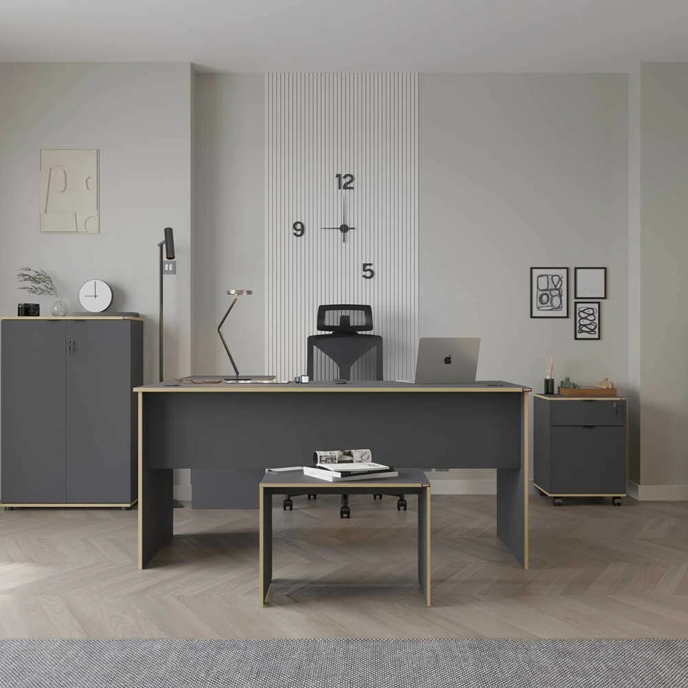 Tavolinë pune Hanah Home, Rms-320-Ax-1, anthracite dhe lis, 160x75x144cm