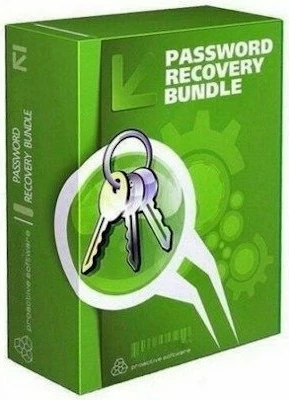 Password Recovery Bundle - Enterprise Lifetime EN Global