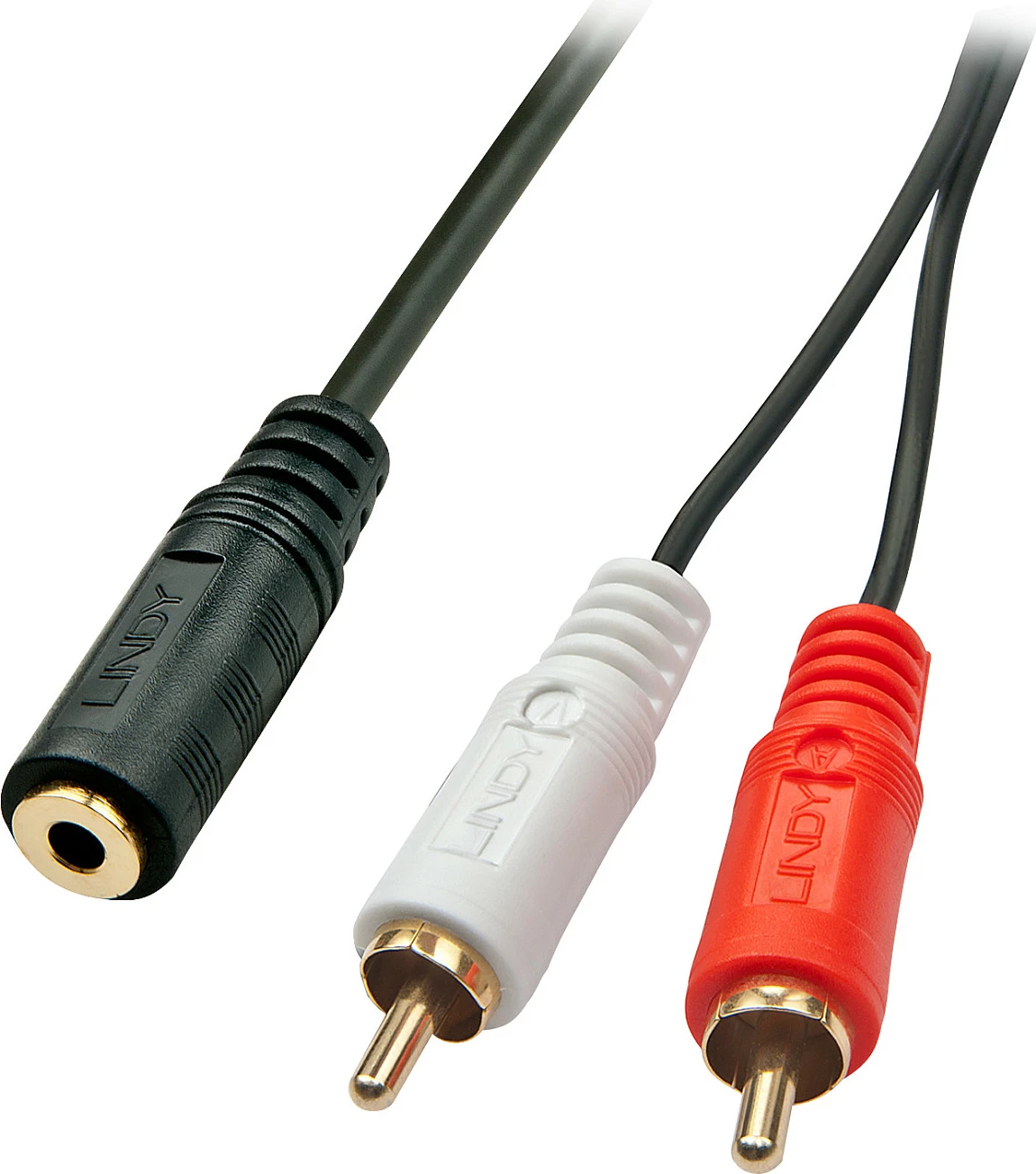 Kabl adapter AV Lindy 0.25m, 3.5mm femër në 2x RCA mashkull, zi/kuqe/bardhë