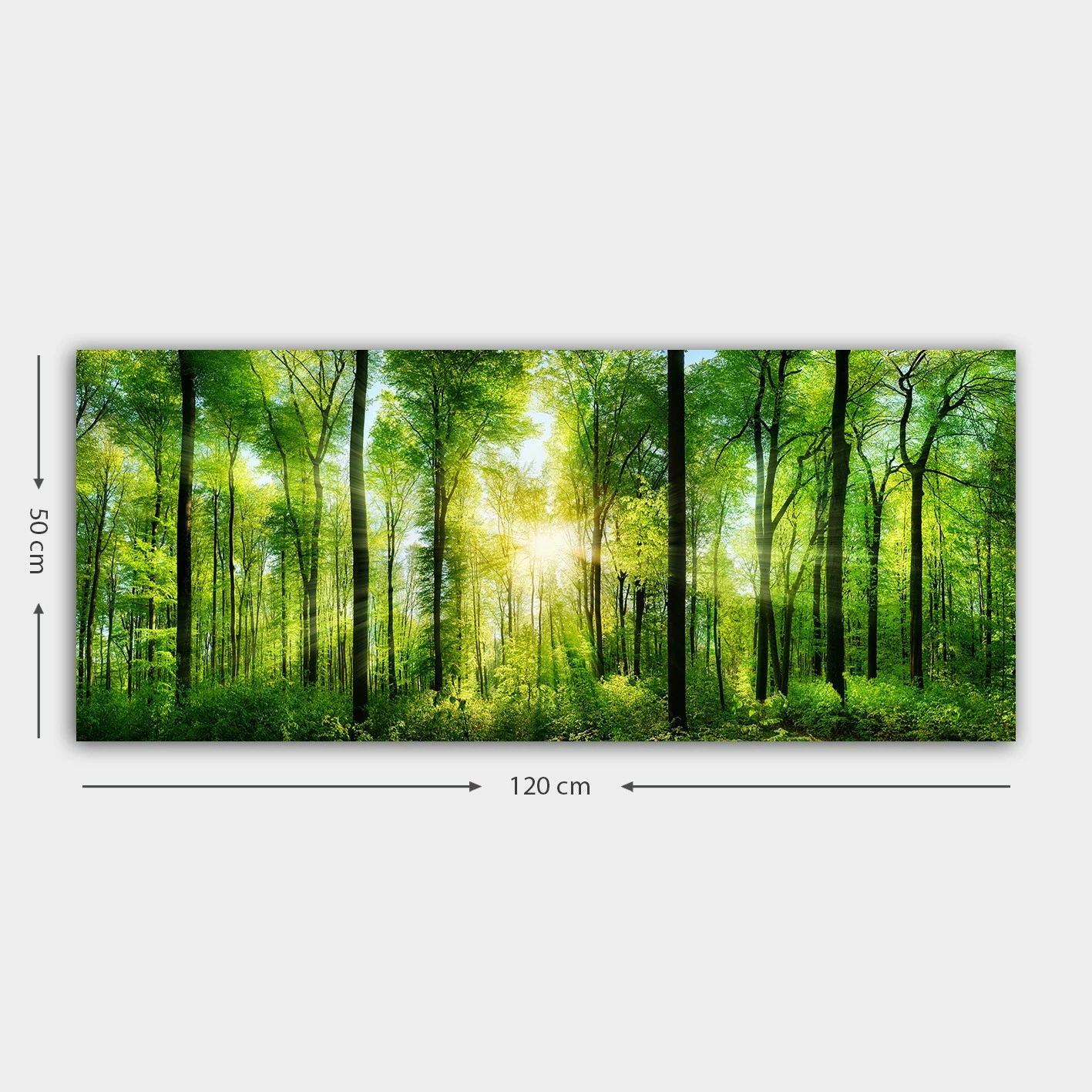 Pikturë dekorative në kanavacë, shumëngjyrëshe, Wallity YTY276530603_50120, 50x120cm