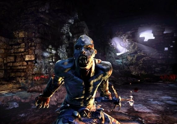 Hunted: The Demon's Forge EN/DE/FR/IT/ES Global