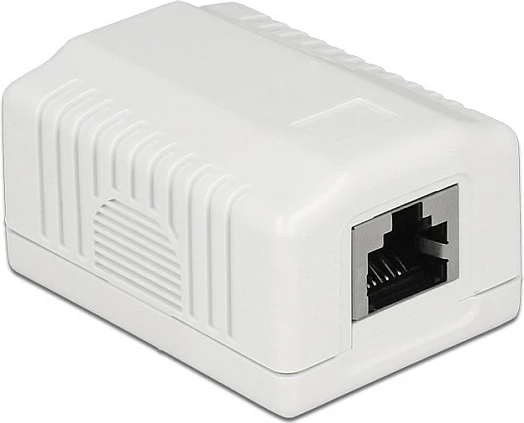 Prizë rrjeti DeLOCK 86196, RJ-45, TIA-568A/B, 1 portë, e bardhë