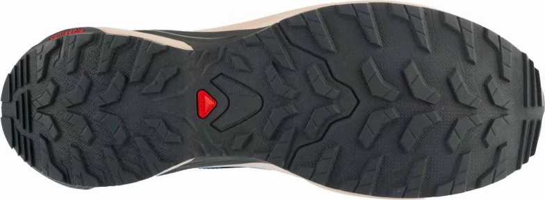 Atlete për meshkuj Salomon, të kaltra