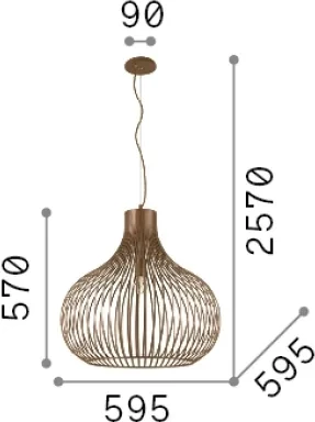 Llambë e varura  Onion sp1 d59
