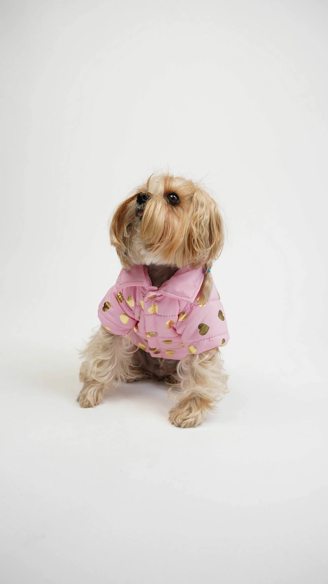 Hudi për qen, Paws & Whiskers, Amour Coat, rozë