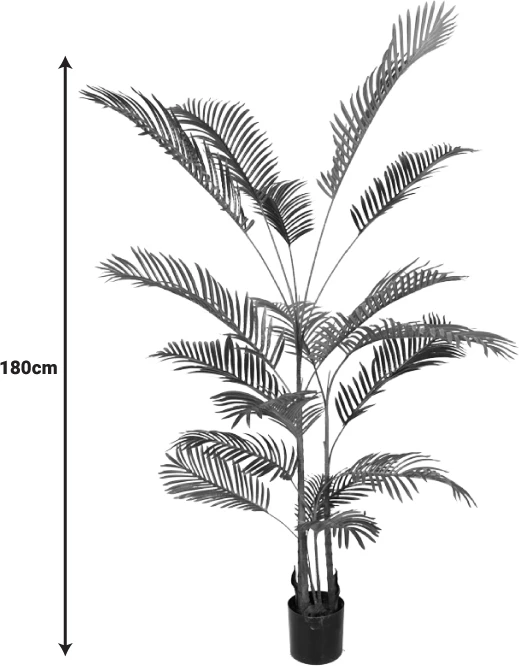 Bimë dekorative Areca III në vazo, ngjyrë e gjelbër, H180cm
