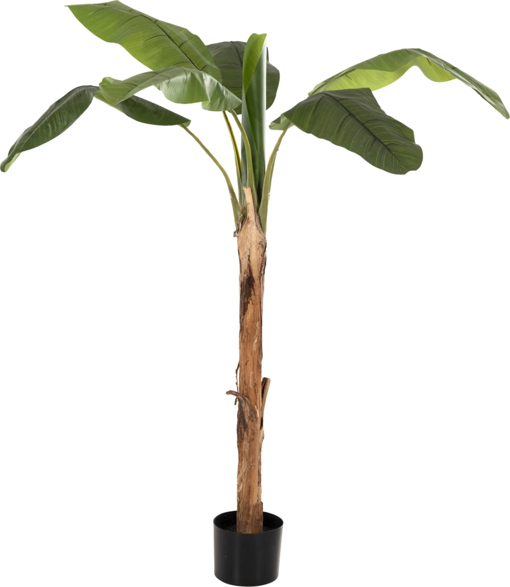 Bimë sintetike dekorative, pemë banane, FH7978, 200H cm