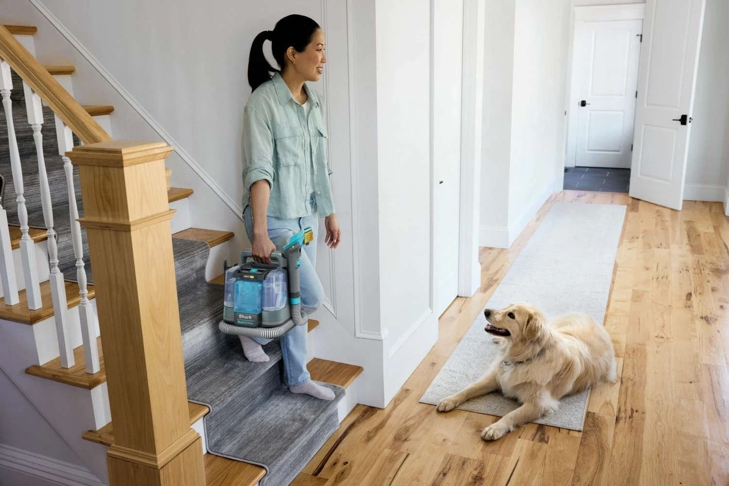 Kasë pastrimi Shark StainStriker HairPro PX250EUT, pa qese, me bateri, argjendtë