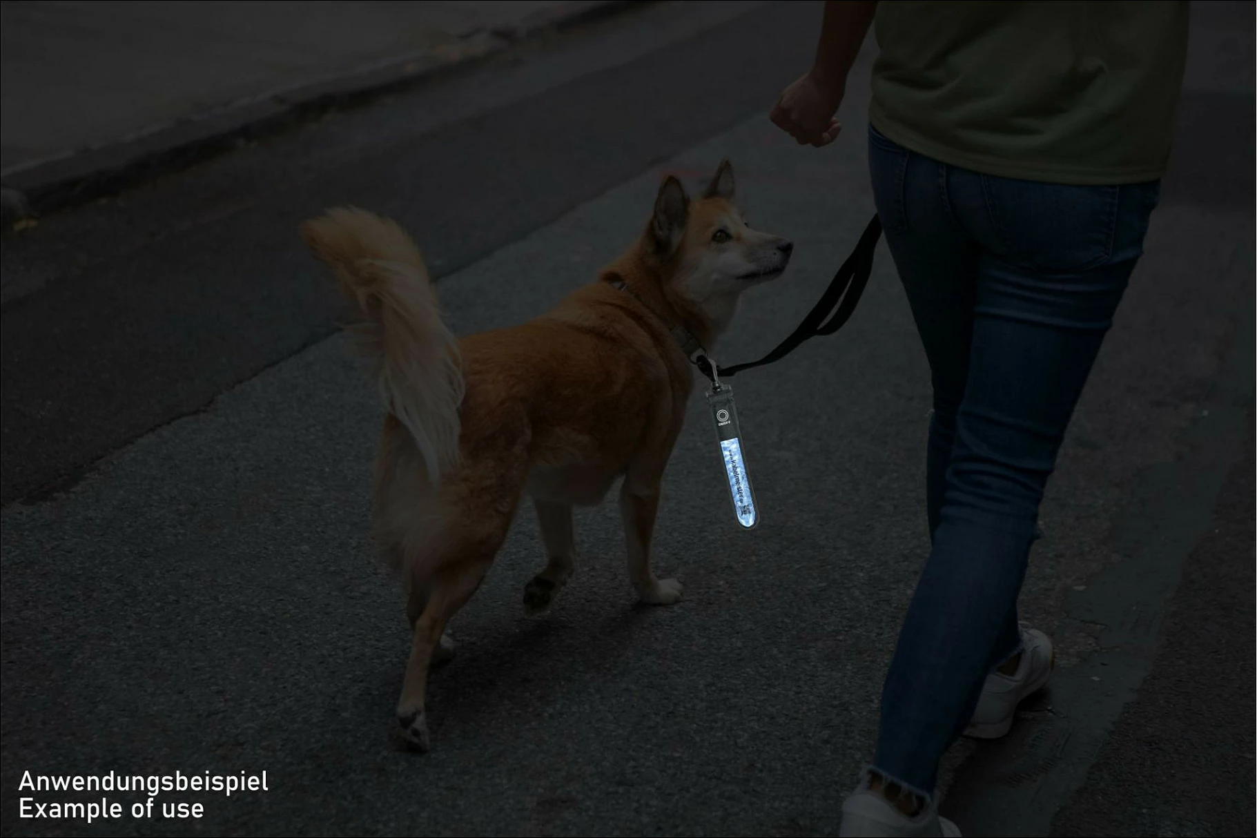Shirit LED Kabelmeister LED-Leuchtband, me blic dhe reflektues, i kaltër