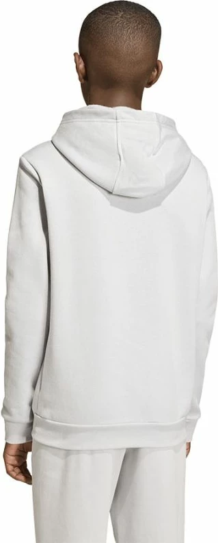 Duks për fëmijë adidas ENTRADA 26 Hoody Junior JZ6562