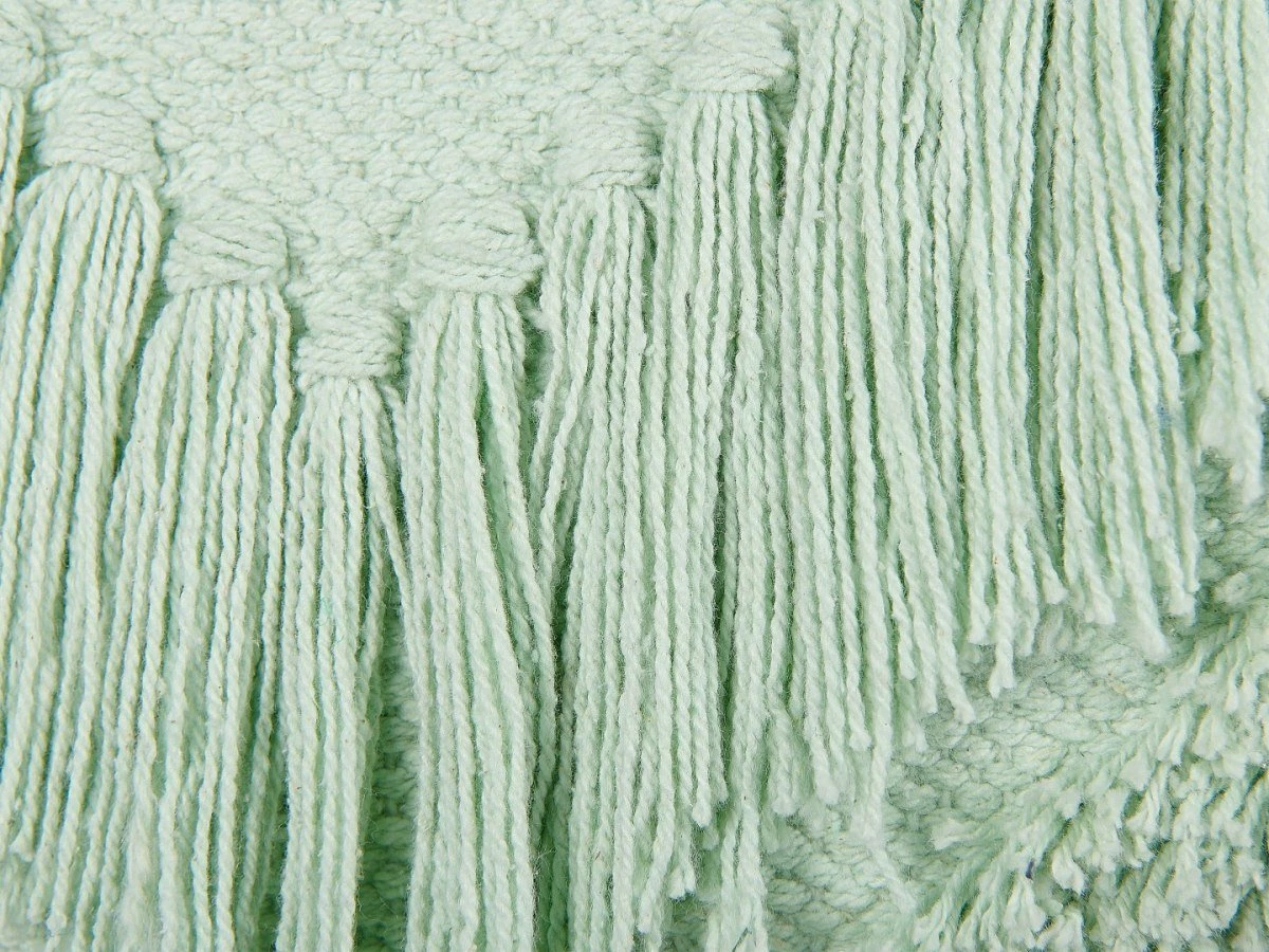 Jastëk dekorativ Beliani Bacopa 45 x 45 cm pambuk set 2 copë jeshil e çelët