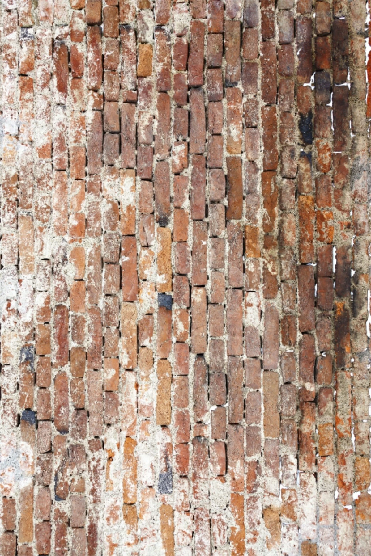 Qilim për korridor, Conceptum Hypnose, CT-2073, 80x150cm
