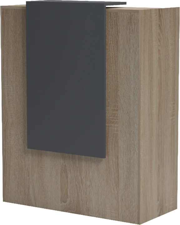 Banak pritjeje Zowel me LED, ngjyrë sonoma-antracit, 90x40x110cm