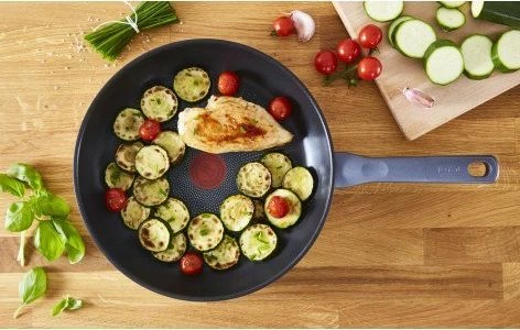 Tigan Tefal Universal 26 cm, inox/gri