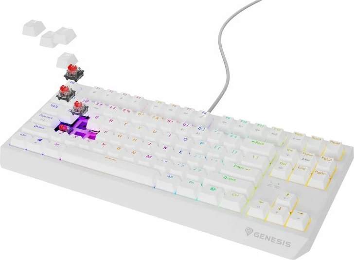 Tastierë mekanike gaming Genesis Thor 230 TKL, e bardhë
