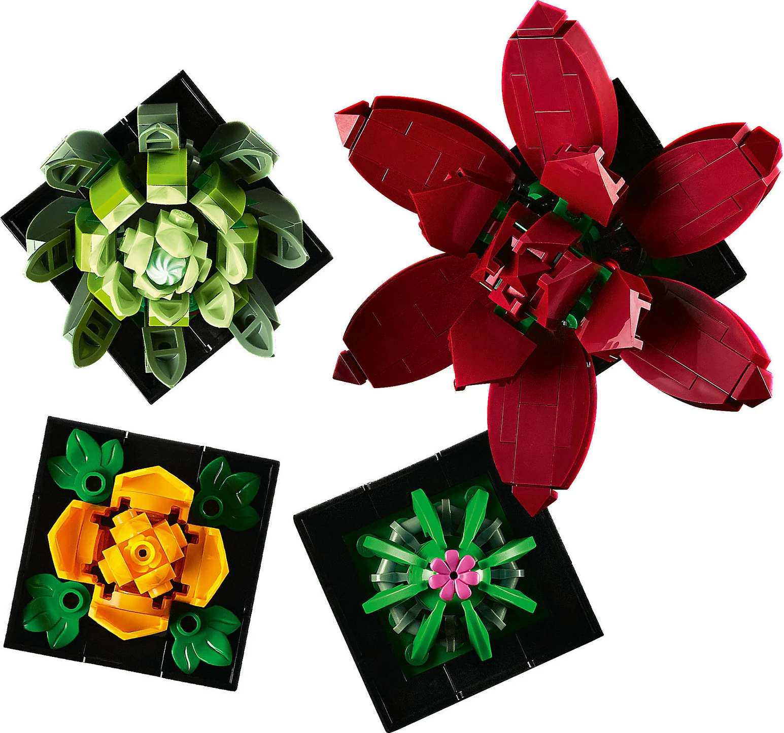 Set ndërtimi LEGO Botanicals Succulents 10309, 771 copë, 18+, multikolor