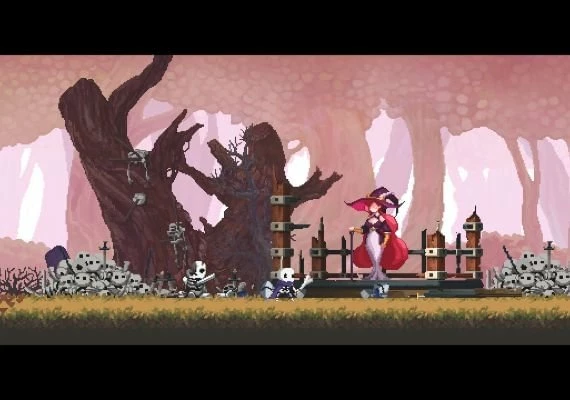 Skul: The Hero Slayer EN/DE/JA/KO/ZH Global