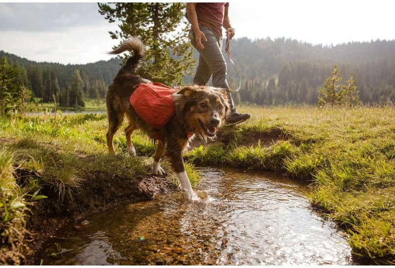 Çantë shpine për qen Ruffwear Front Range Day Pack XS, blu