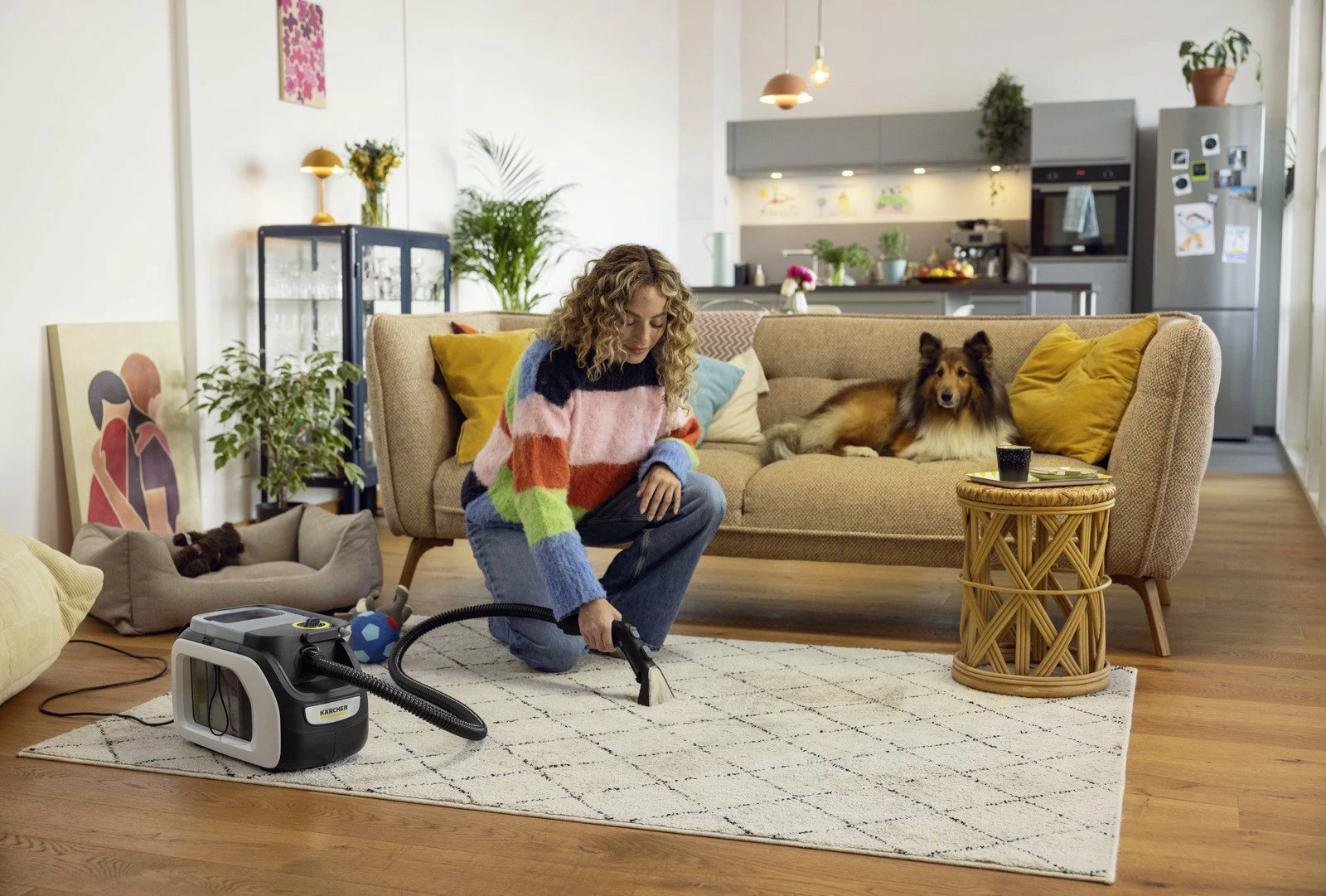 Pastrues tapetesh me spërkatje-ekstraktim Karcher SE 3 Compact EU (1.081-530.0) 500W 1.7L, bardhë, set me aksesorë + RM 519 100ml