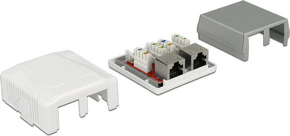 Prizë rrjeti DeLOCK 86197, 2x RJ-45, montim sipërfaqësor, e bardhë