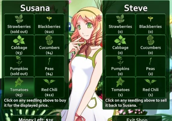 Flower Shop: Summer In Fairbrook EN Global
