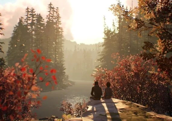 Life is Strange 2 Complete Season Edition Global