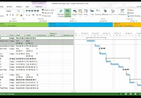 Project Professional 2021 for 5 PC EN Global