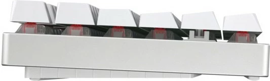 Tastierë mekanike wireless Cherry MX 8.2 TKL, RGB, e bardhë