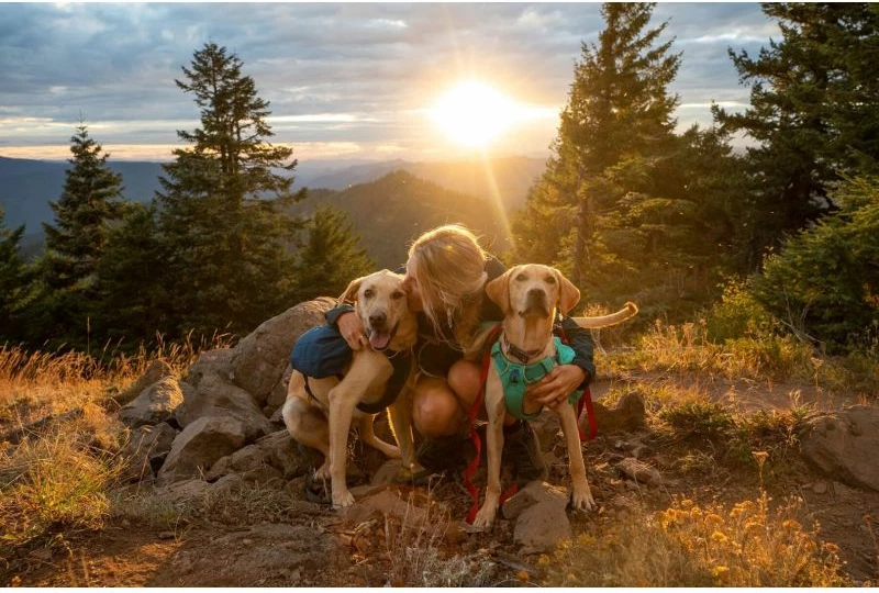 Çantë shpine për qen Ruffwear Front Range Day Pack XS, blu