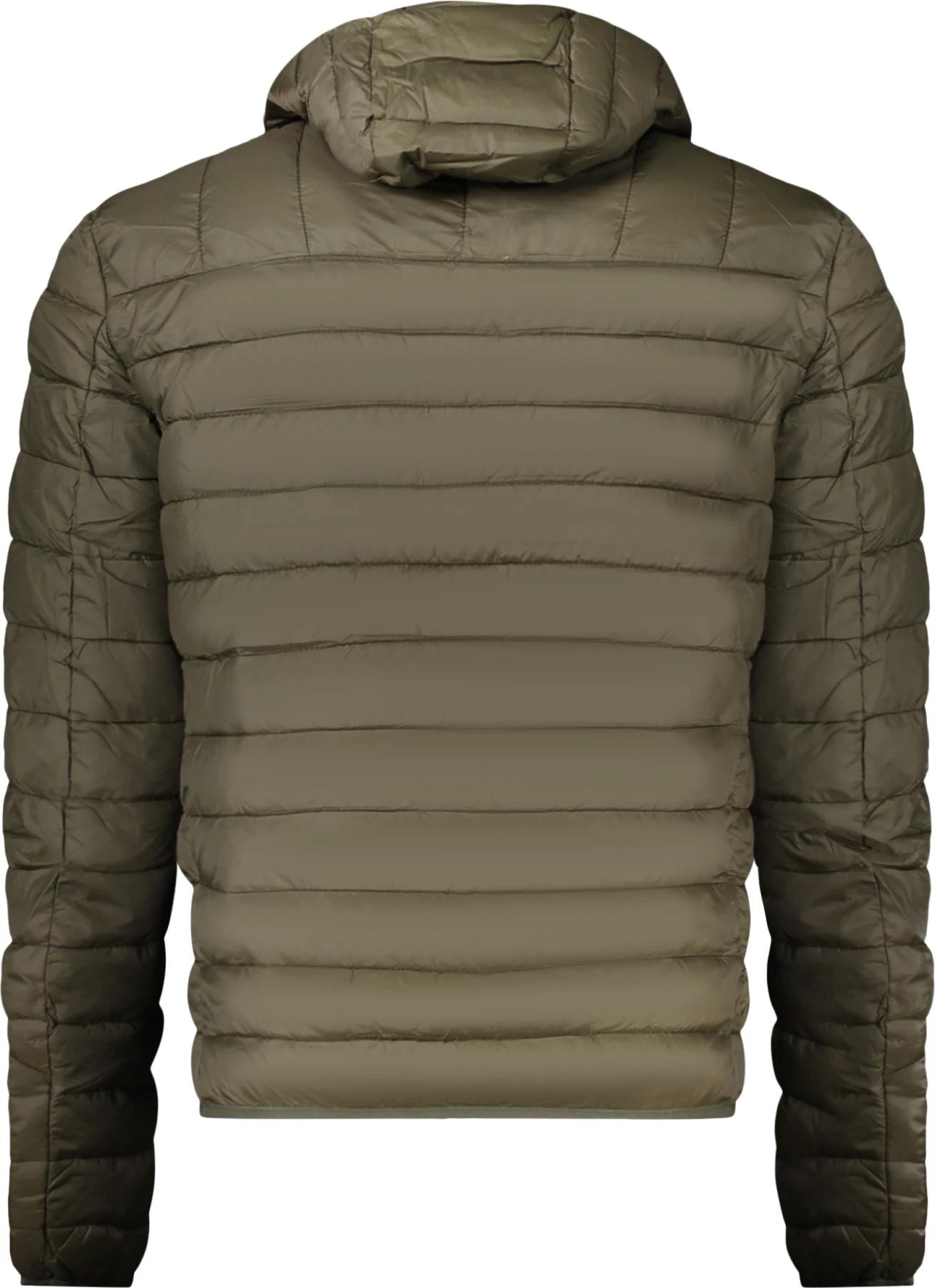 Jakne për meshkuj CAVALLI CLASS, e gjelbër