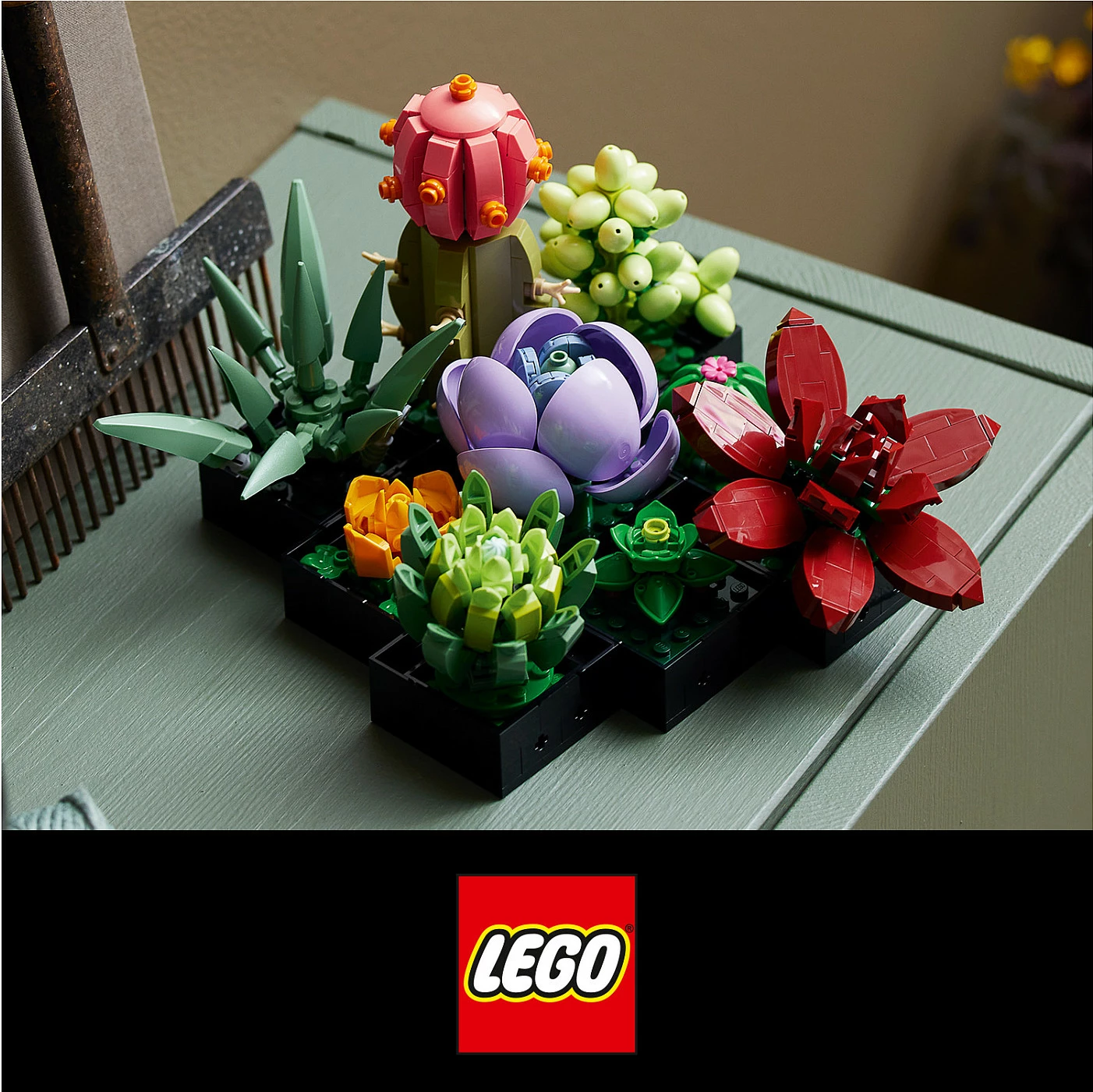 Set ndërtimi LEGO Botanicals Succulents 10309, 771 copë, 18+, multikolor