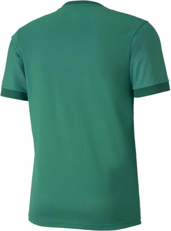 Fanellë për meshkuj Puma teamGOAL 23, e gjelbër