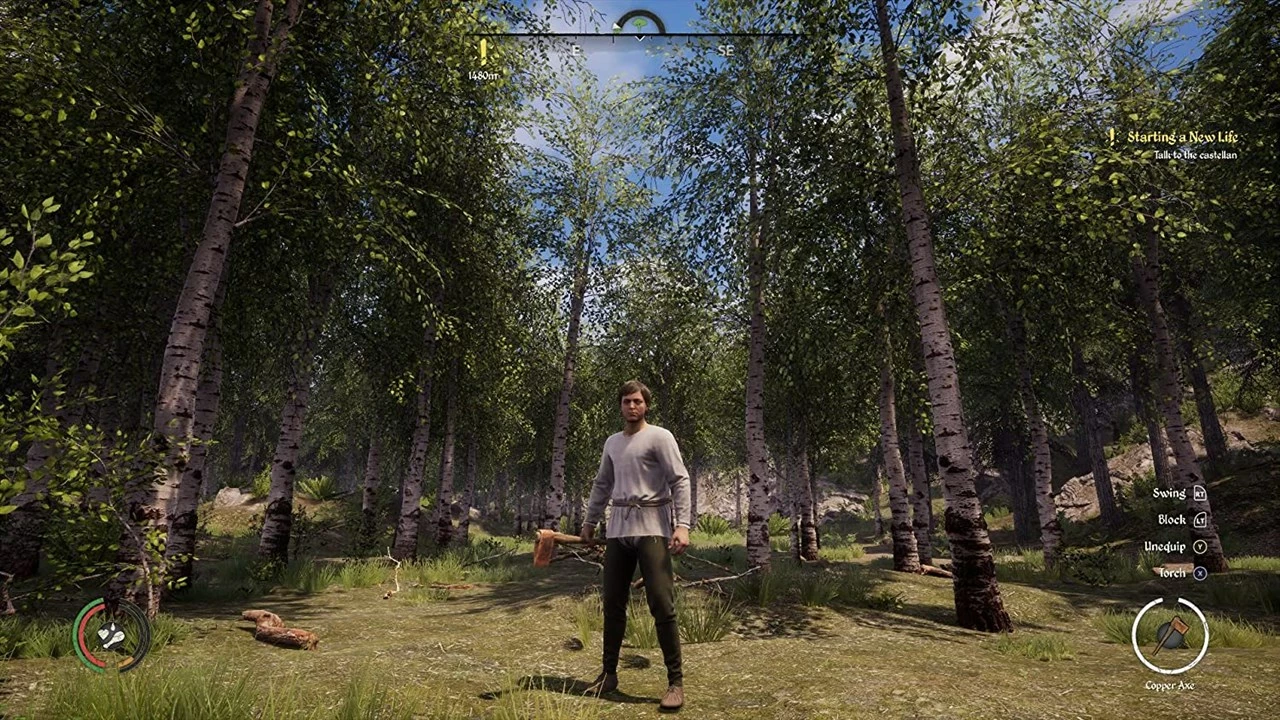 Lojë Merge Games Medieval Dynasty për PlayStation 5