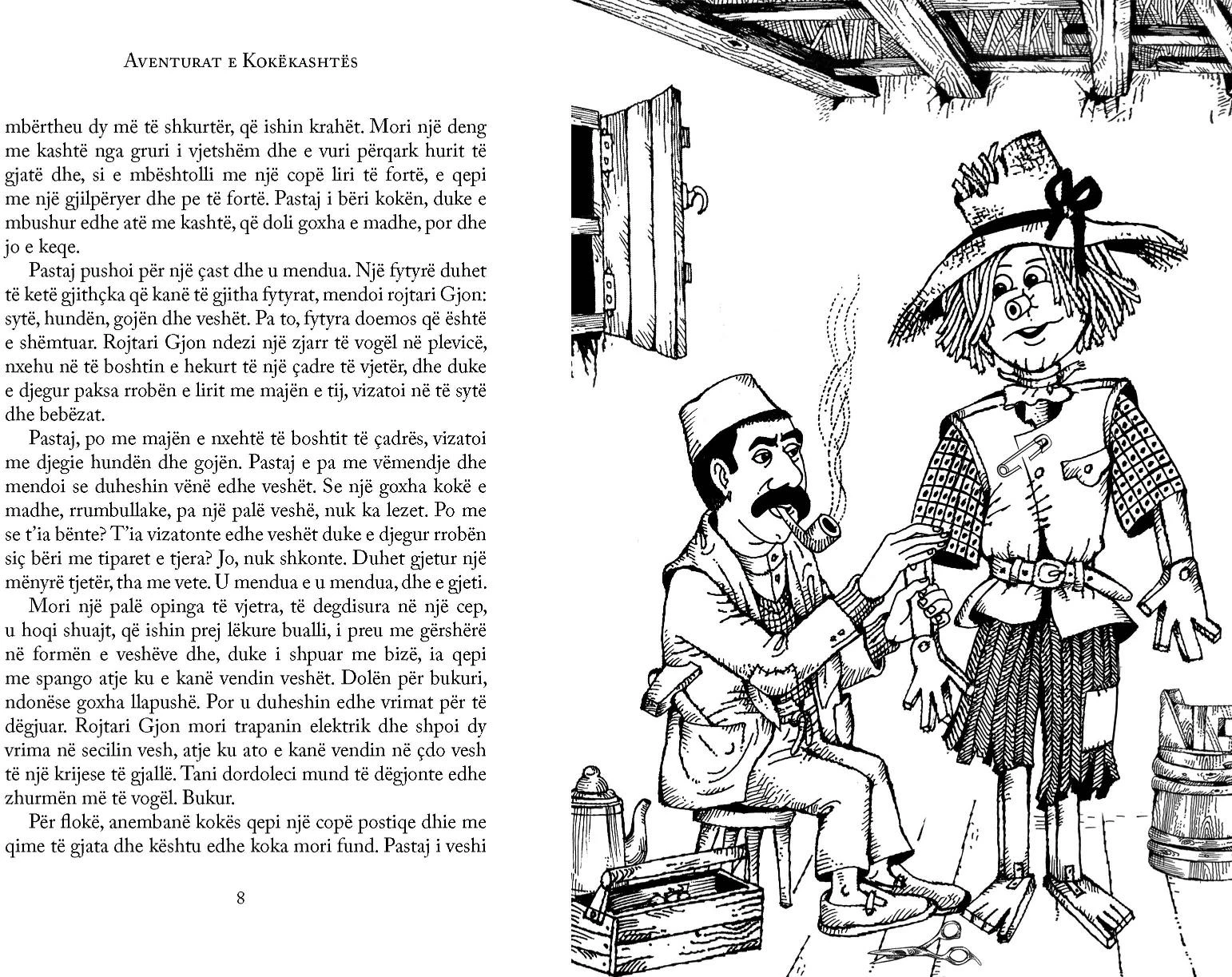 Aventurat e Kokekashtes