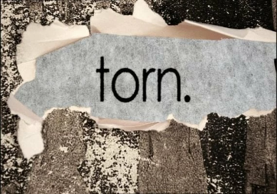 Torn EN/DE/FR/IT/JA/KO/ES Global
