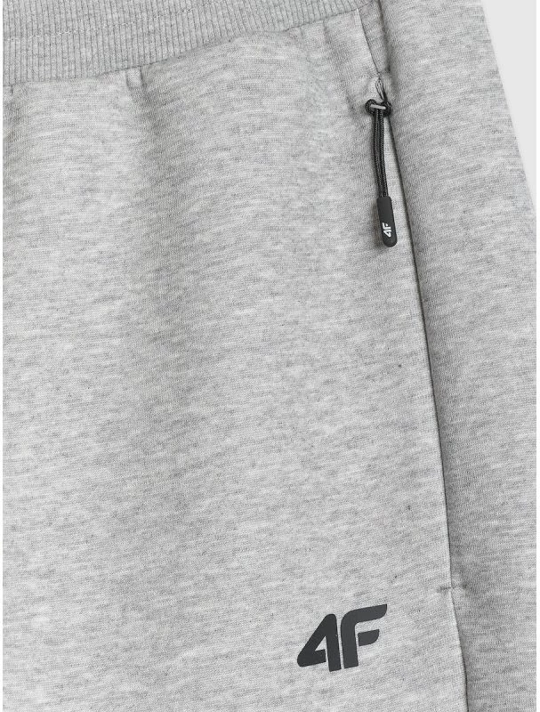Pantallona sportive jogger për meshkuj 4f 4FRMM00TTROM1623-27M